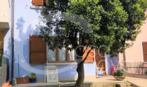 Ville, villette e bifamigliari in vendita a Chiari